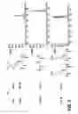 Fig. 06 - Chemo-enzymatic process for proteome-wide mapping of post-translational modification