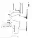 Fig. 08 - Chemo-enzymatic process for proteome-wide mapping of post-translational modification
