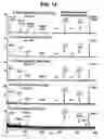Fig. 15 - Chemo-enzymatic process for proteome-wide mapping of post-translational modification