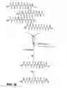 Fig. 19 - Chemo-enzymatic process for proteome-wide mapping of post-translational modification