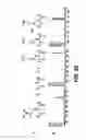 Fig. 22 - Chemo-enzymatic process for proteome-wide mapping of post-translational modification