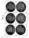 Fig. 04 - Agglutination tests for detection of microorganisms
