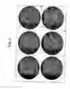 Fig. 05 - Agglutination tests for detection of microorganisms
