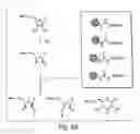 Fig. 04 - Peptide acceptor ligation methods