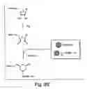 Fig. 05 - Peptide acceptor ligation methods