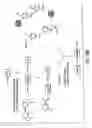 Fig. 15 - Peptide acceptor ligation methods