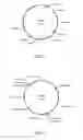 Fig. 02 - Plasmid autonomously replicable in family