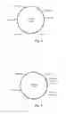Fig. 03 - Plasmid autonomously replicable in family