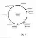 Fig. 04 - Plasmid autonomously replicable in family