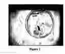 Fig. 02 - Isolation and use of decay fungi