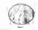 Fig. 04 - Isolation and use of decay fungi