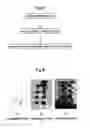 Fig. 05 - Bio-chip