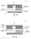 Fig. 09 - Microfluidic rare cell detection device