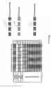 Fig. 19 - Fluidic system and method for processing biological microarrays in personal instrumentation