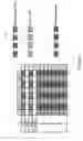 Fig. 22 - Fluidic system and method for processing biological microarrays in personal instrumentation