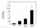 Fig. 01 - Inhibition of pancreatic islet aggregation