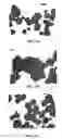 Fig. 02 - Inhibition of pancreatic islet aggregation
