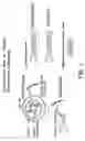 Fig. 02 - Chromosome-based platforms