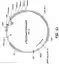 Fig. 11 - Chromosome-based platforms