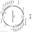 Fig. 13 - Chromosome-based platforms