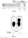 Fig. 04 - Methods for transfecting T cells