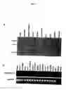 Fig. 06 - Sequences encoding genes and proteins