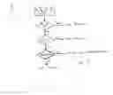 Fig. 06 - Assay devices having detection capabilities within the hook effect region