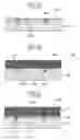 Fig. 09 - Method for treating a structure to obtain an internal space and structure having an internal space