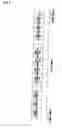 Fig. 08 - Transmitting and receiving method, and radio apparatus utilizing the same