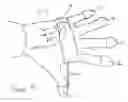 Fig. 05 - Hand exercising device