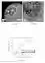 Fig. 48 - Methods for the deposition of electrocatalyst particles