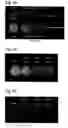 Fig. 06 - Compositions comprising lignosulfonates for crop protection and crop improvement