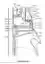 Fig. 10 - Laundry appliance