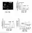 Fig. 09 - Methods and compositions for encapsulation of cells