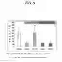 Fig. 06 - Eye disease treating agent and method for treating eye disease