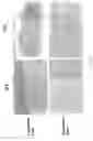 Fig. 04 - Anti-tumor agent