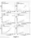 Fig. 04 - Modified growth hormone