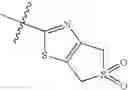 Fig. 197 - Mitotic kinesin inhibitors and methods of use thereof