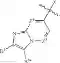 Fig. 341 - Mitotic kinesin inhibitors and methods of use thereof