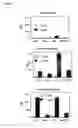 Fig. 04 - Chimeric cytoplasmic signalling molecules