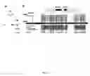 Fig. 04 - Yeast genes that affect viral replication