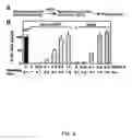 Fig. 09 - Yeast genes that affect viral replication