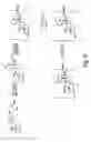 Fig. 07 - Steroid compounds comprising superoxide dismutase mimic groups and nitric oxide donor groups, and their use in the preparation of medicaments