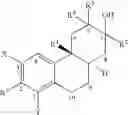 Fig. 06 - Modulators of the glucocorticoid receptor