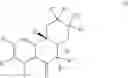 Fig. 14 - Modulators of the glucocorticoid receptor