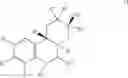 Fig. 19 - Modulators of the glucocorticoid receptor