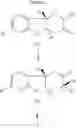 Fig. 26 - Modulators of the glucocorticoid receptor