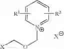 Fig. 16 - Process for halomethyl ethers of hydroxyiminomethyl quaternary pyridinium salts