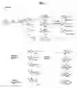 Fig. 04 - Compounds, pharmaceutical compositions containing same, and methods of use for same