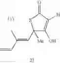 Fig. 77 - Compounds, pharmaceutical compositions containing same, and methods of use for same
